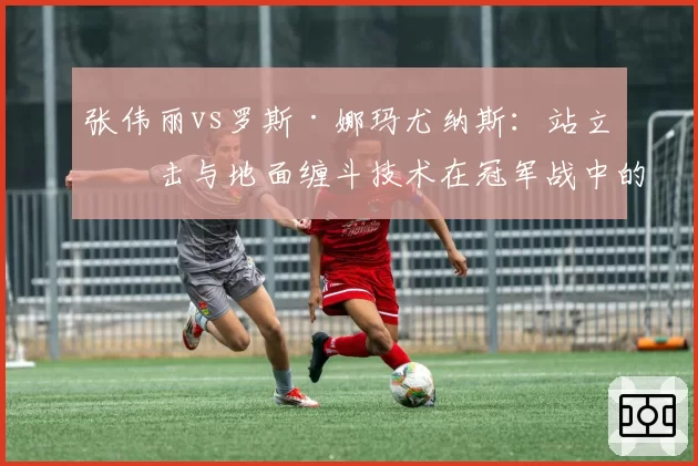 张伟丽vs罗斯·娜玛尤纳斯：站立打击与地面缠斗技术在冠军战中的效率对比