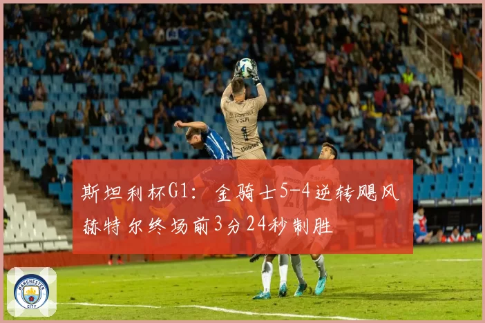 斯坦利杯G1：金骑士5-4逆转飓风 赫特尔终场前3分24秒制胜