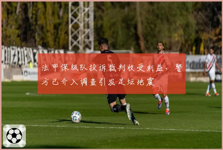 法甲保级队投诉裁判收受利益，警方已介入调查引发足坛地震