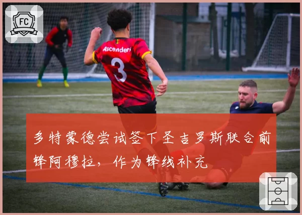 多特蒙德尝试签下圣吉罗斯联合前锋阿穆拉,作为锋线补充