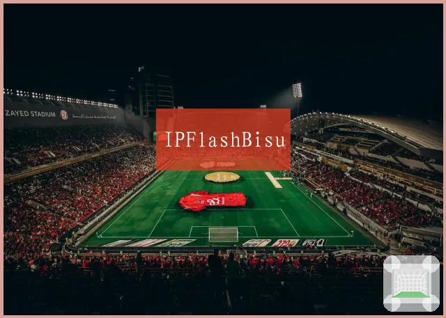 IPFlashBisu