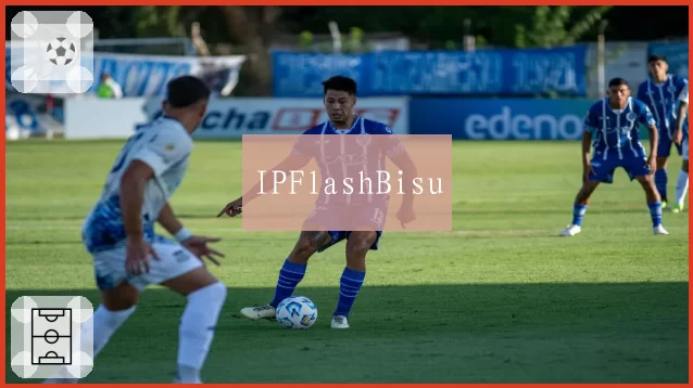 IPFlashBisu